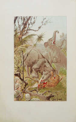 Ворисгофер С. Корабль натуралистов. Образовательное путешествие по отдаленным странам. СПб.; М., 1913.